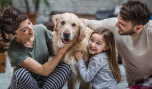 Mom, Dad and their young daughter gather to pet and embrace the family's golden retriever